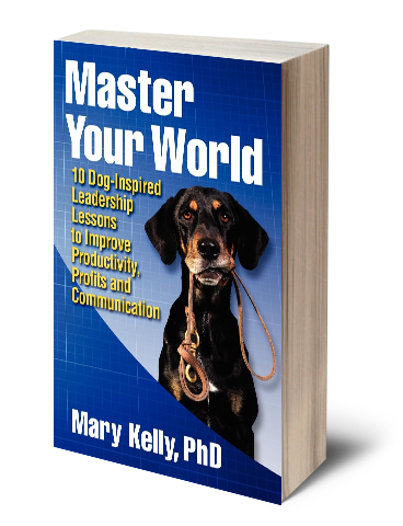 Author Book
